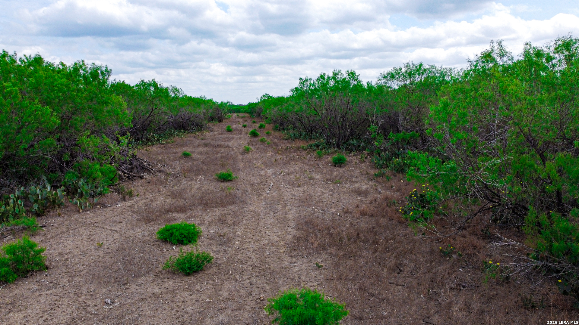 0 Koon Hill Road Fowlerton, TX 78021 - Photo 36 of 65
