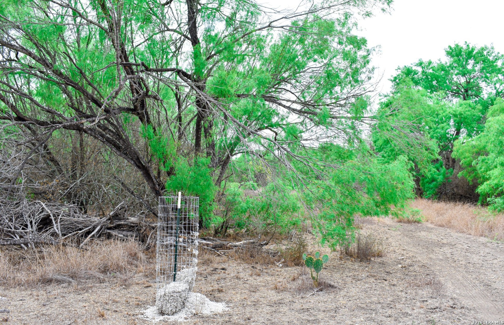 0 Koon Hill Road Fowlerton, TX 78021 - Photo 40 of 65