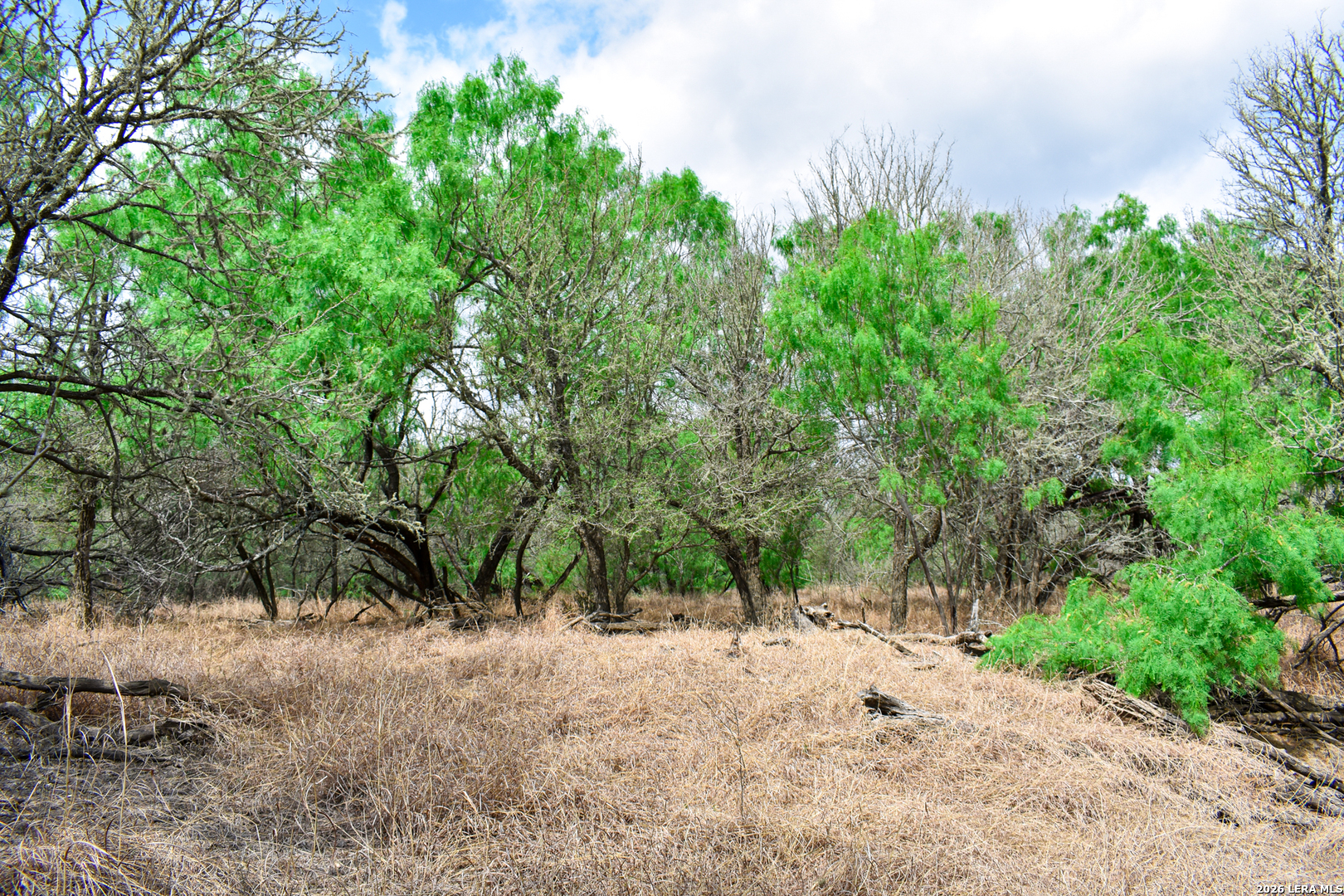 0 Koon Hill Road Fowlerton, TX 78021 - Photo 42 of 65