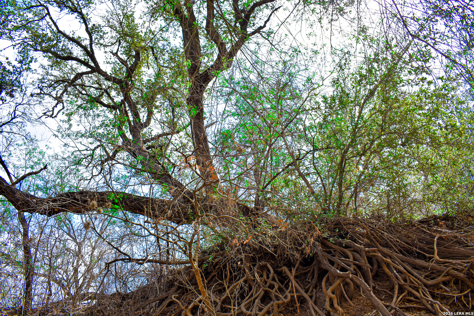 0 Koon Hill Road Fowlerton, TX 78021 - Photo 43 of 65