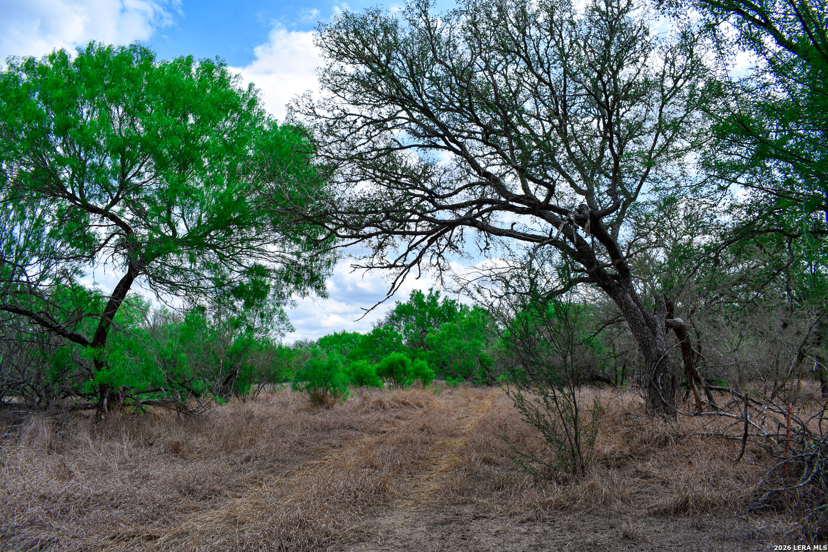 0 Koon Hill Road Fowlerton, TX 78021 - Photo 44 of 65