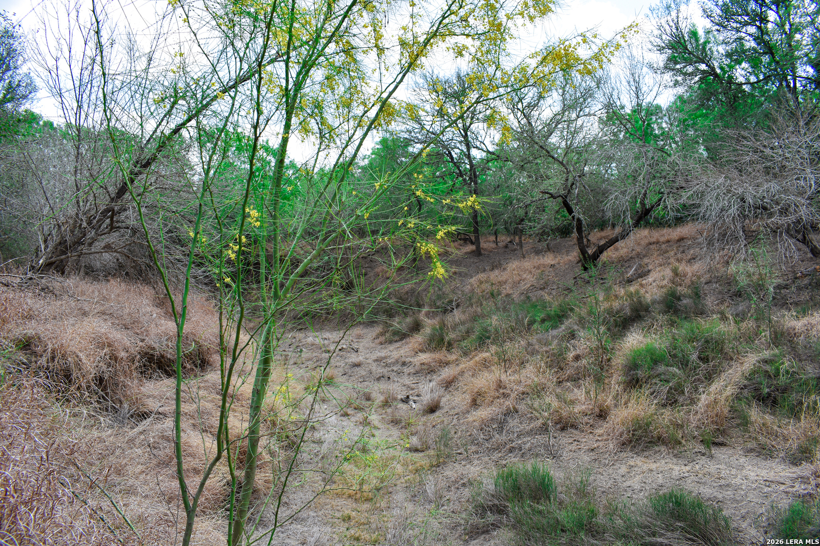 0 Koon Hill Road Fowlerton, TX 78021 - Photo 45 of 65