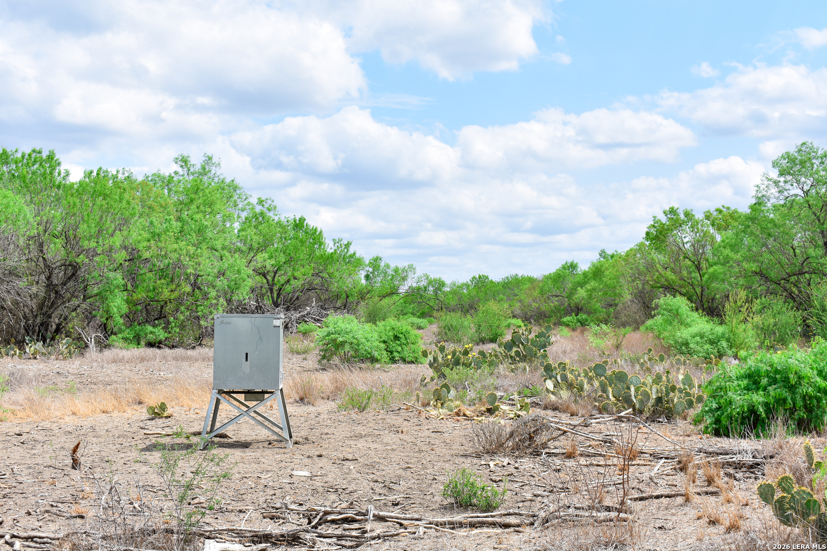0 Koon Hill Road Fowlerton, TX 78021 - Photo 46 of 65