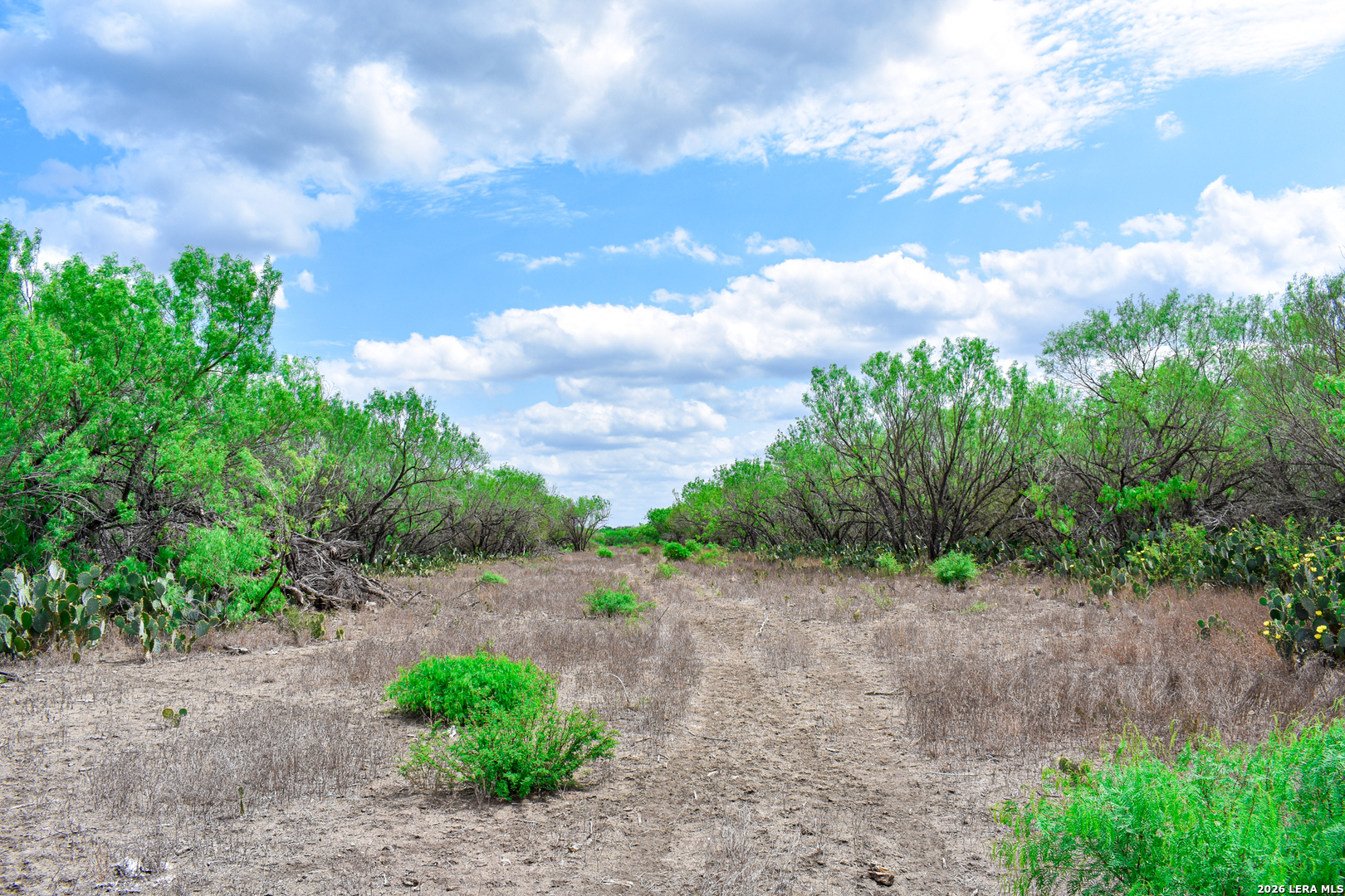 0 Koon Hill Road Fowlerton, TX 78021 - Photo 48 of 65