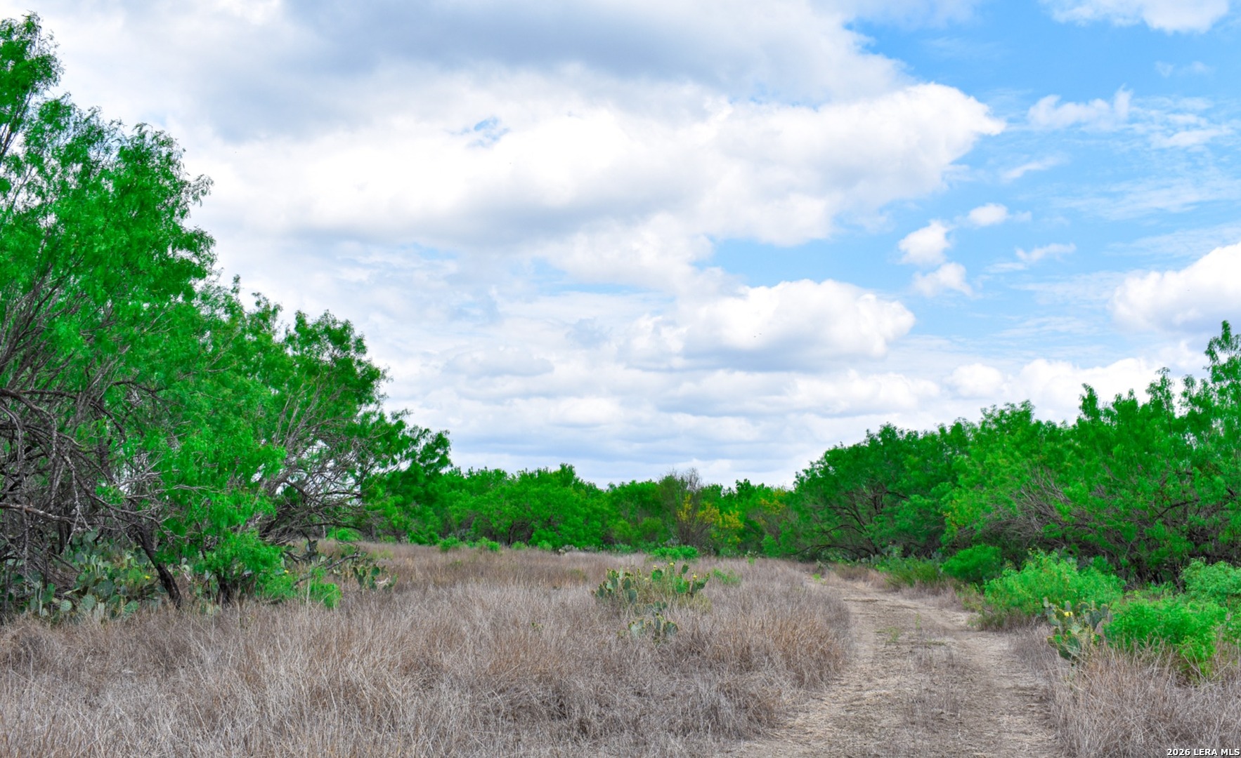 0 Koon Hill Road Fowlerton, TX 78021 - Photo 50 of 65