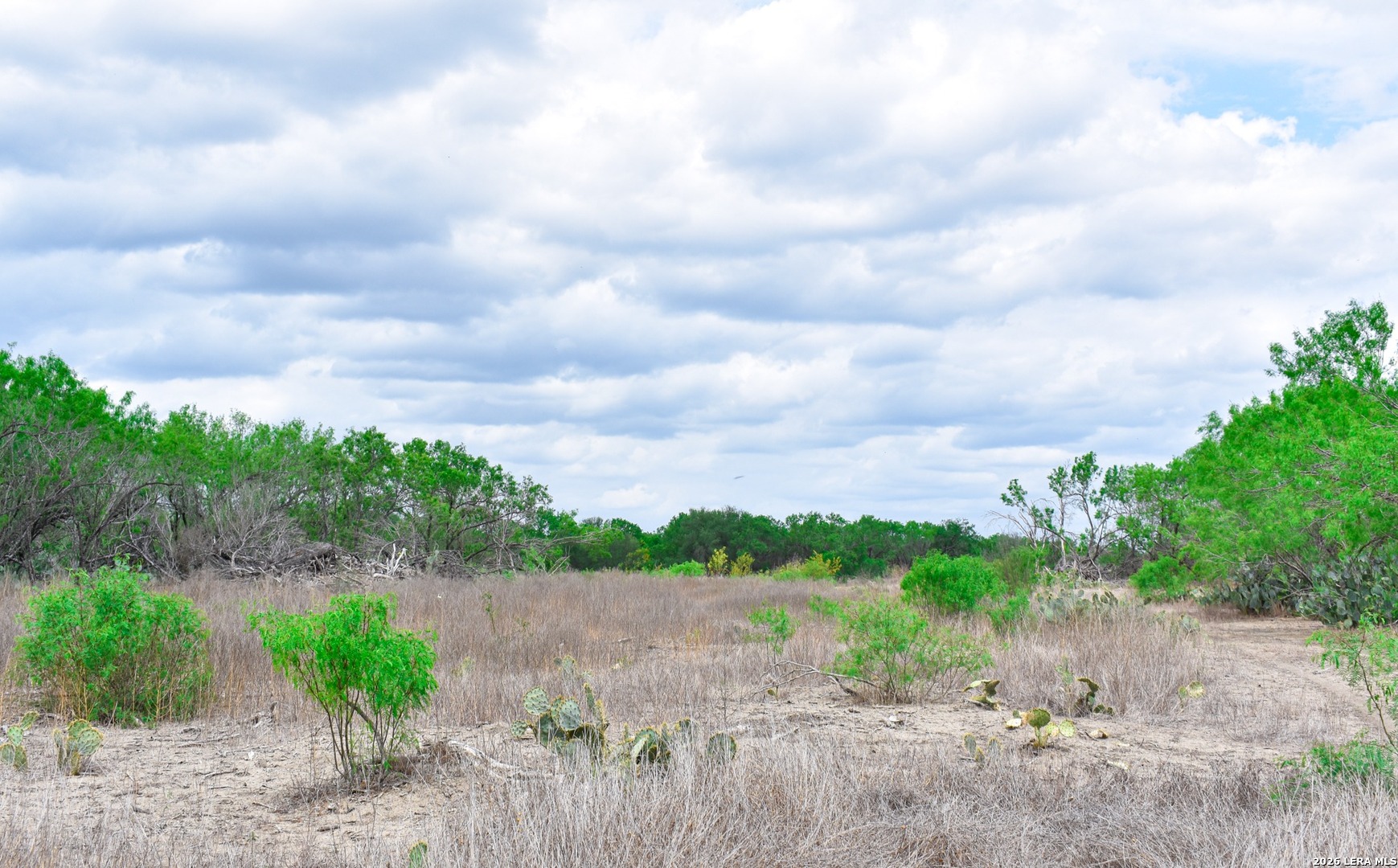0 Koon Hill Road Fowlerton, TX 78021 - Photo 51 of 65