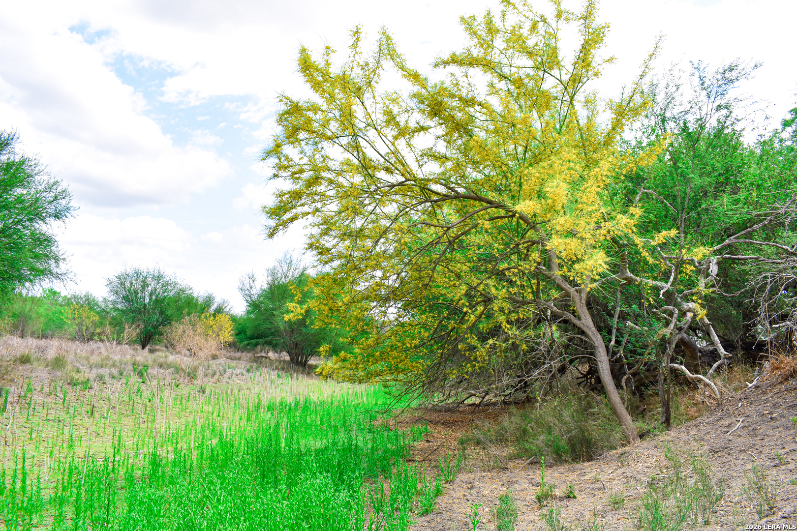 0 Koon Hill Road Fowlerton, TX 78021 - Photo 53 of 65