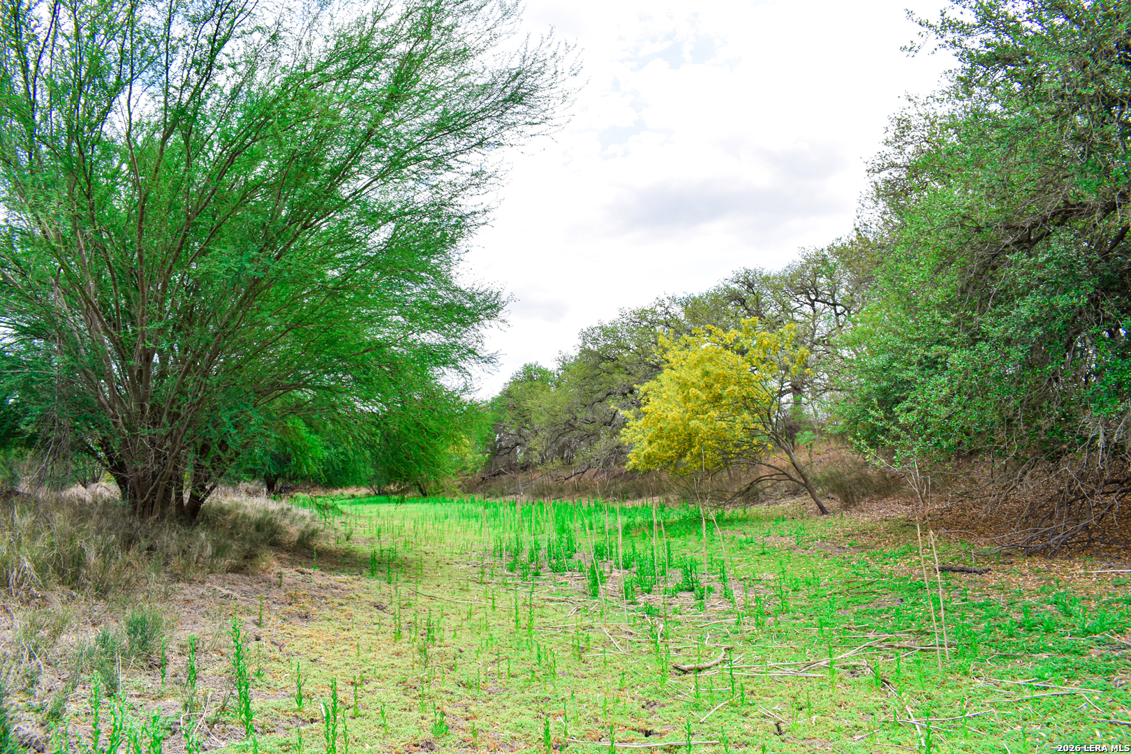 0 Koon Hill Road Fowlerton, TX 78021 - Photo 56 of 65