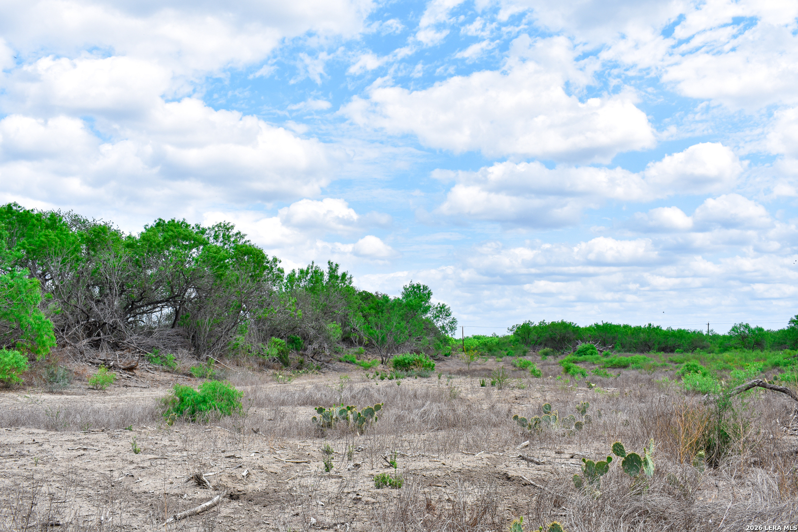 0 Koon Hill Road Fowlerton, TX 78021 - Photo 57 of 65