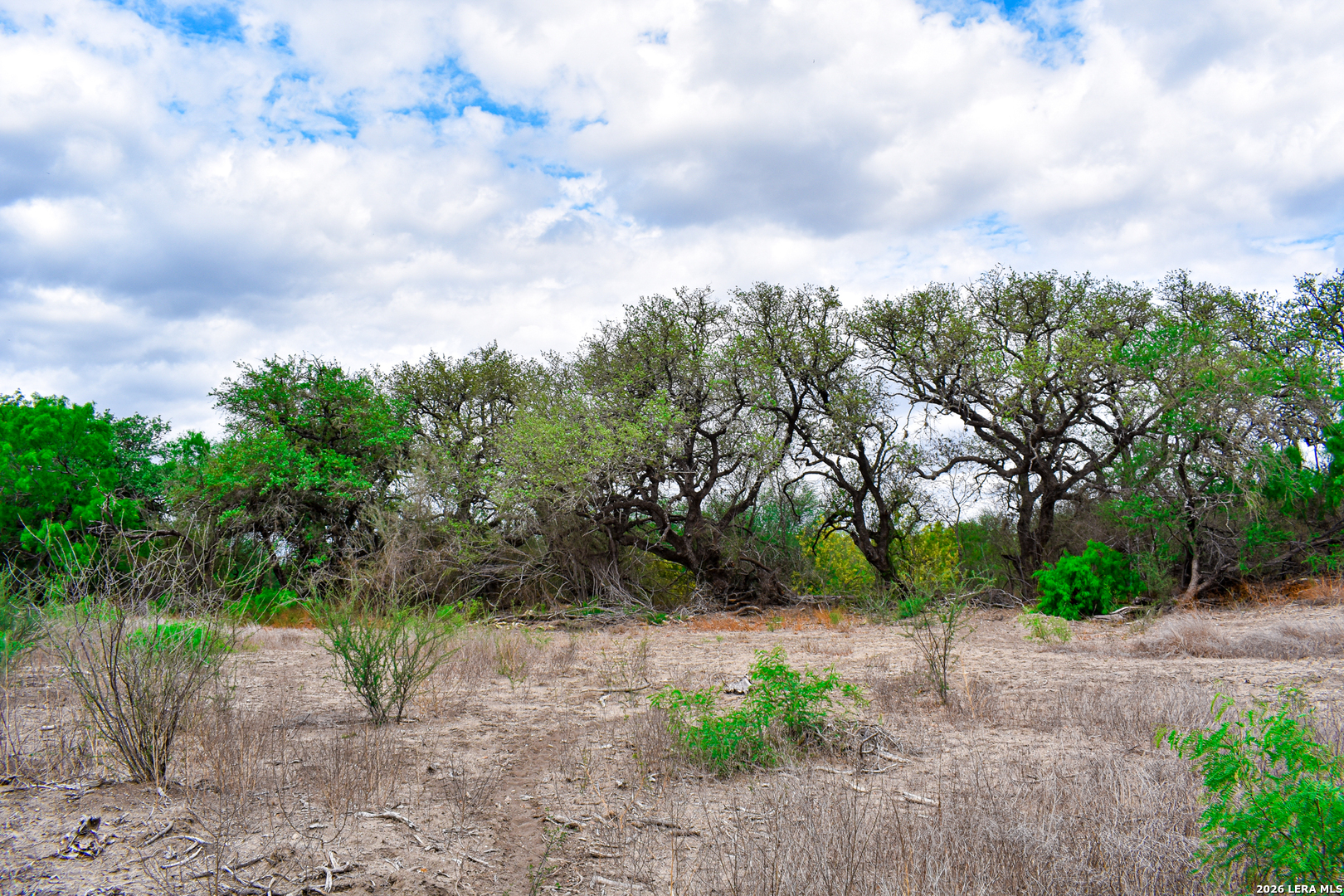 0 Koon Hill Road Fowlerton, TX 78021 - Photo 58 of 65