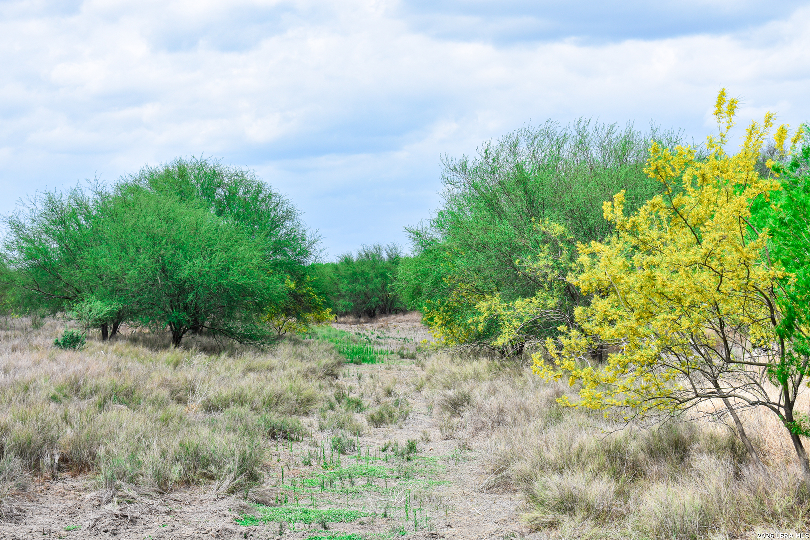 0 Koon Hill Road Fowlerton, TX 78021 - Photo 59 of 65