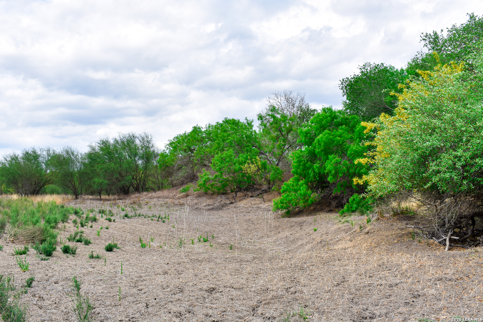 0 Koon Hill Road Fowlerton, TX 78021 - Photo 60 of 65