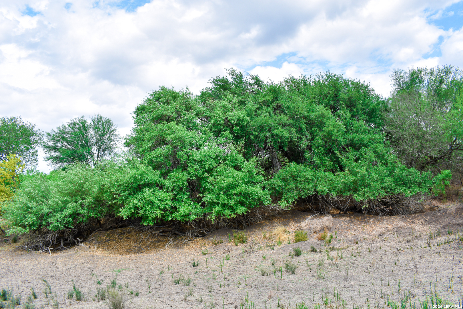 0 Koon Hill Road Fowlerton, TX 78021 - Photo 61 of 65