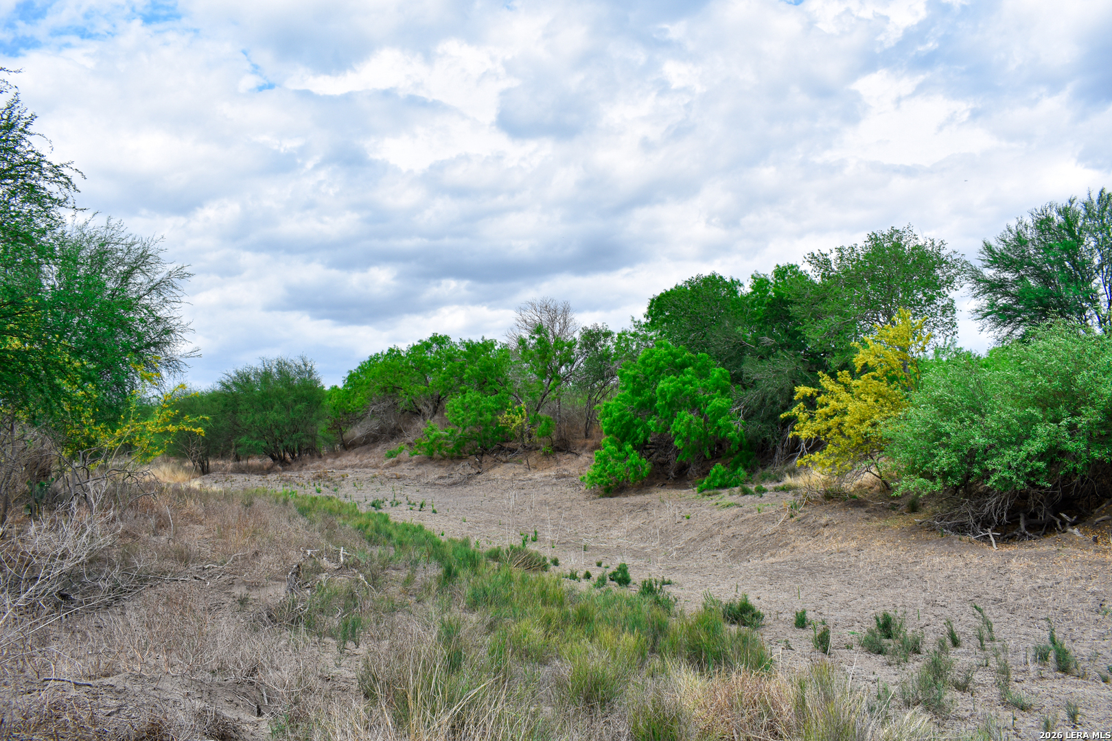 0 Koon Hill Road Fowlerton, TX 78021 - Photo 62 of 65