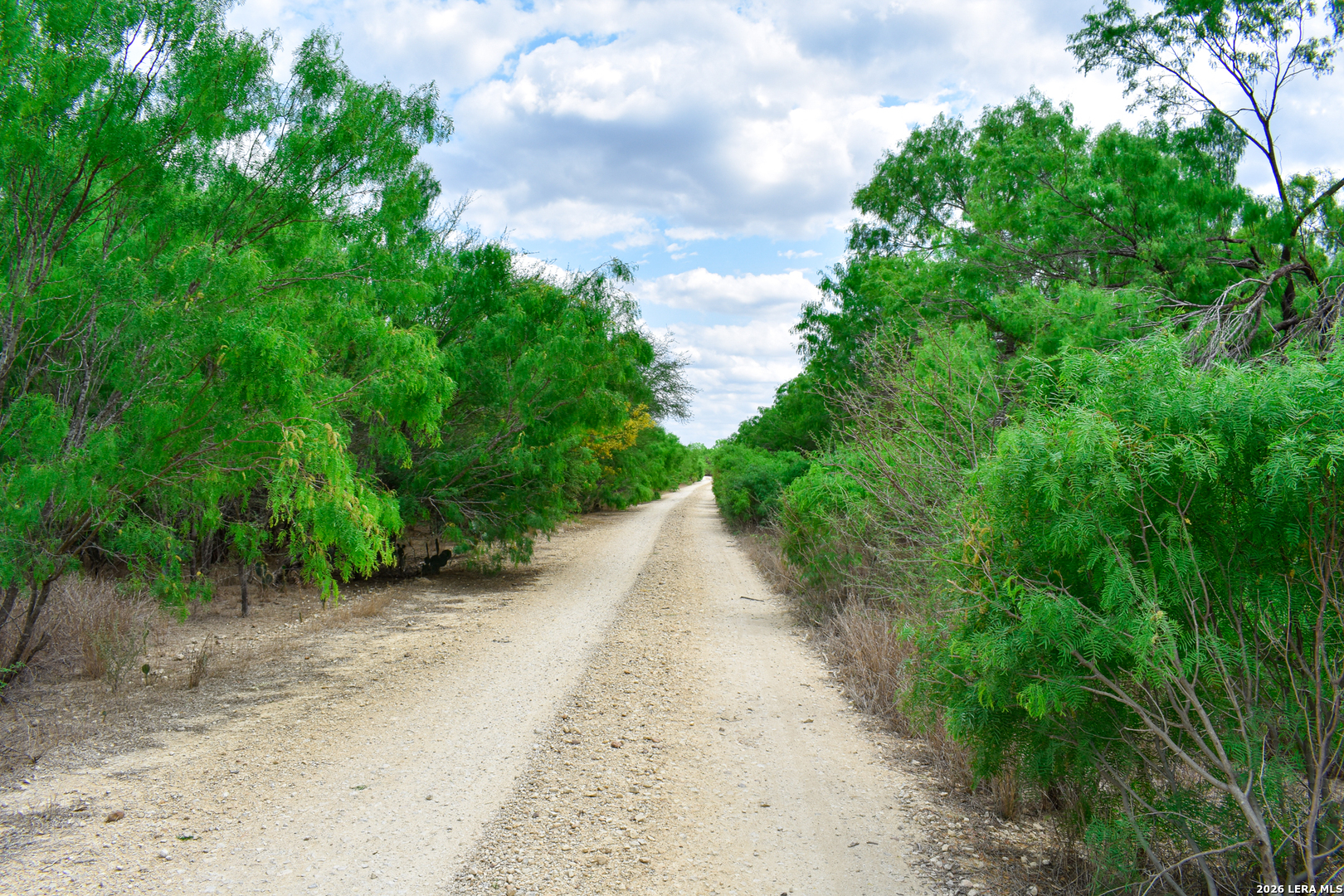 0 Koon Hill Road Fowlerton, TX 78021 - Photo 63 of 65