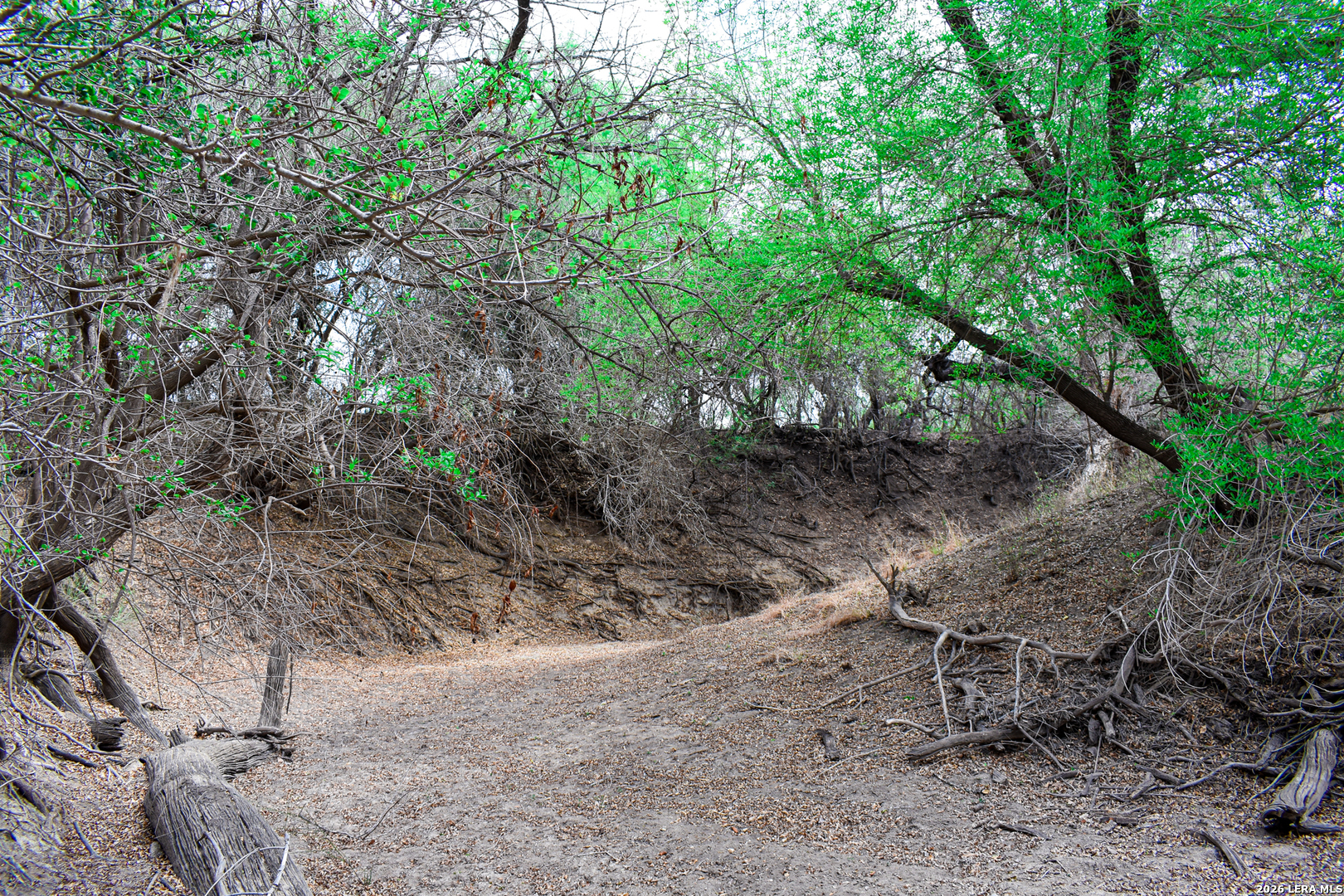 0 Koon Hill Road Fowlerton, TX 78021 - Photo 9 of 65