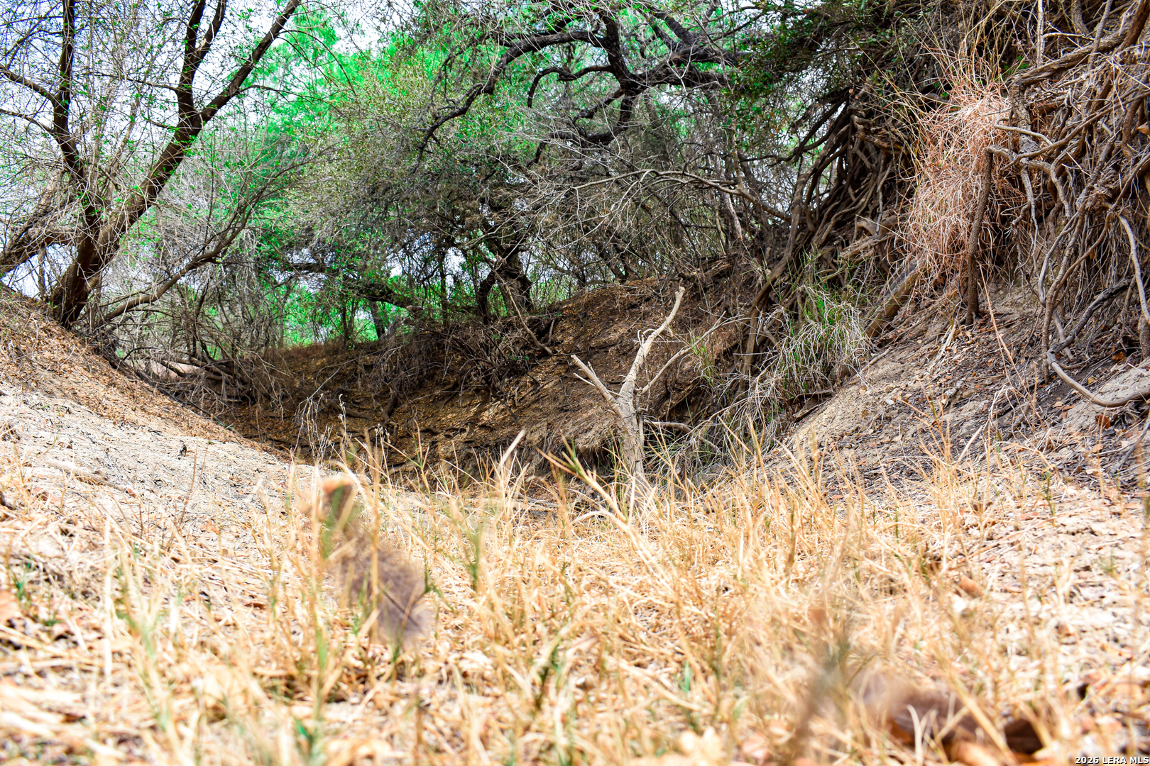 0 Koon Hill Road Fowlerton, TX 78021 - Photo 10 of 65