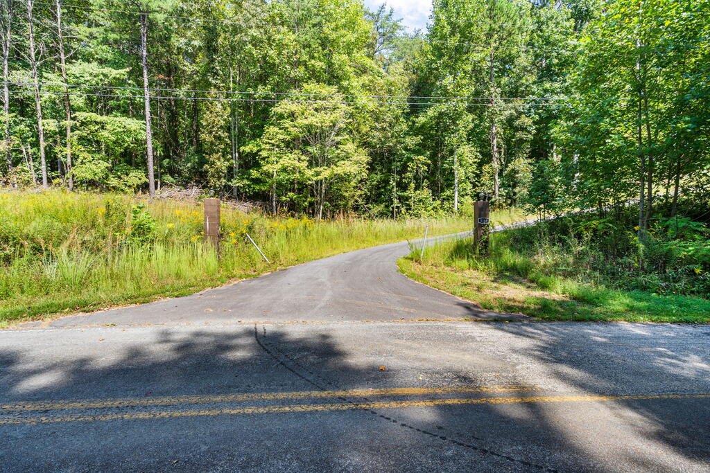 3160 Morrow Road Murphy, NC 28906 - Photo 60 of 67 Private Driveway