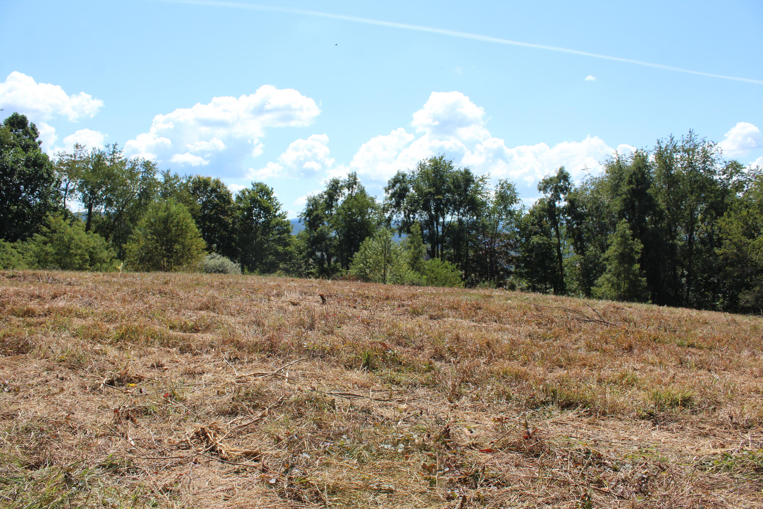 3797 Sweet Springs Valley Road Union, WV 24983 - Photo 7 of 9 Gallery Image 7