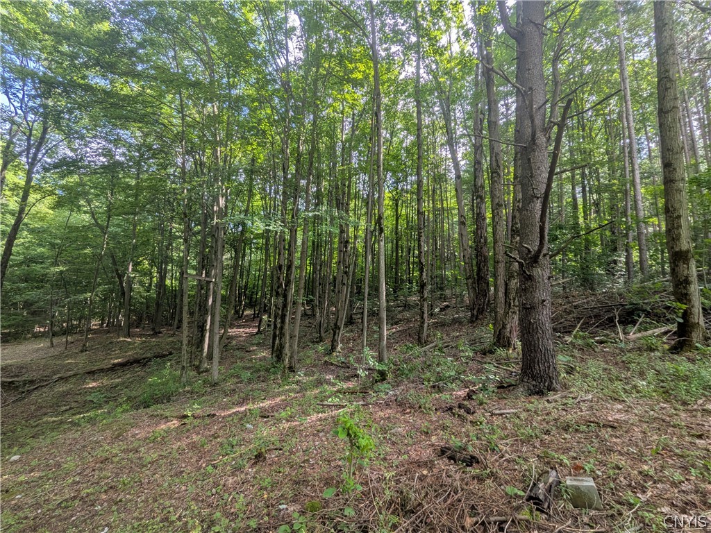 128 Seely Hill Road Newfield, NY 14867 - Photo 9 of 21 Gallery Image 9