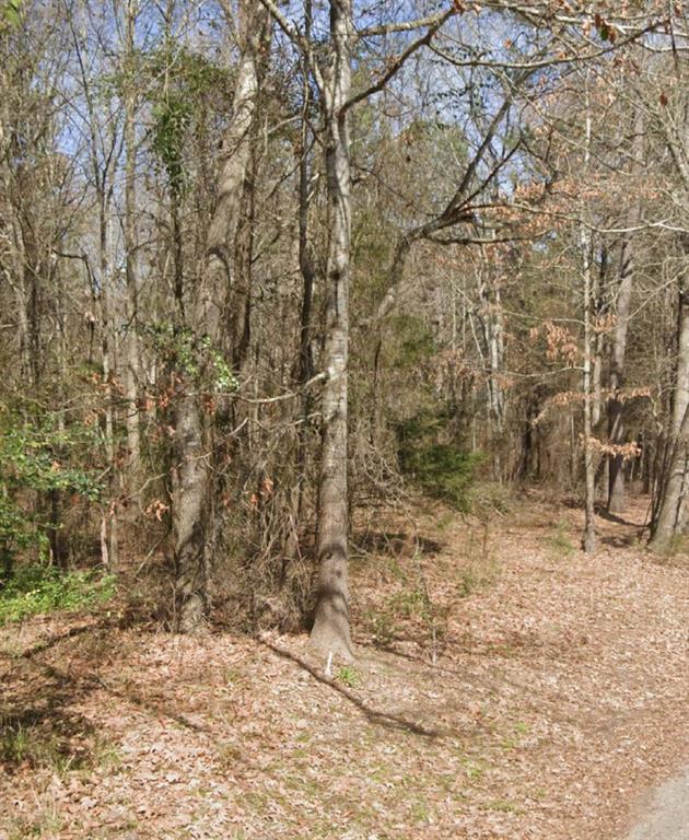 2104 County Road Kilgore, TX 75662 - Photo 1 of 1 View of local wilderness
