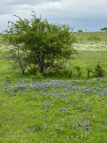 a view of city and mountain