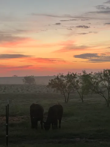 a view of mountain with lake view