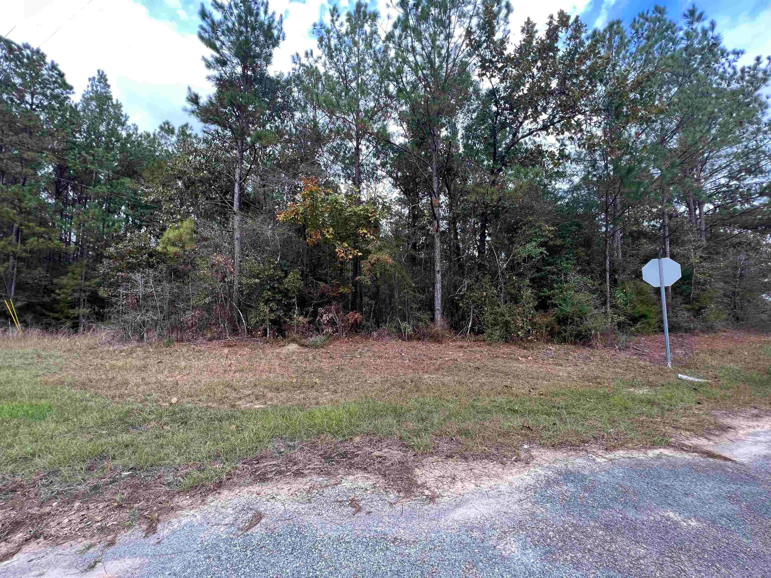 58-ac Boykin Road Red Level, AL 36474 - Photo 5 of 5 Gallery Image 5