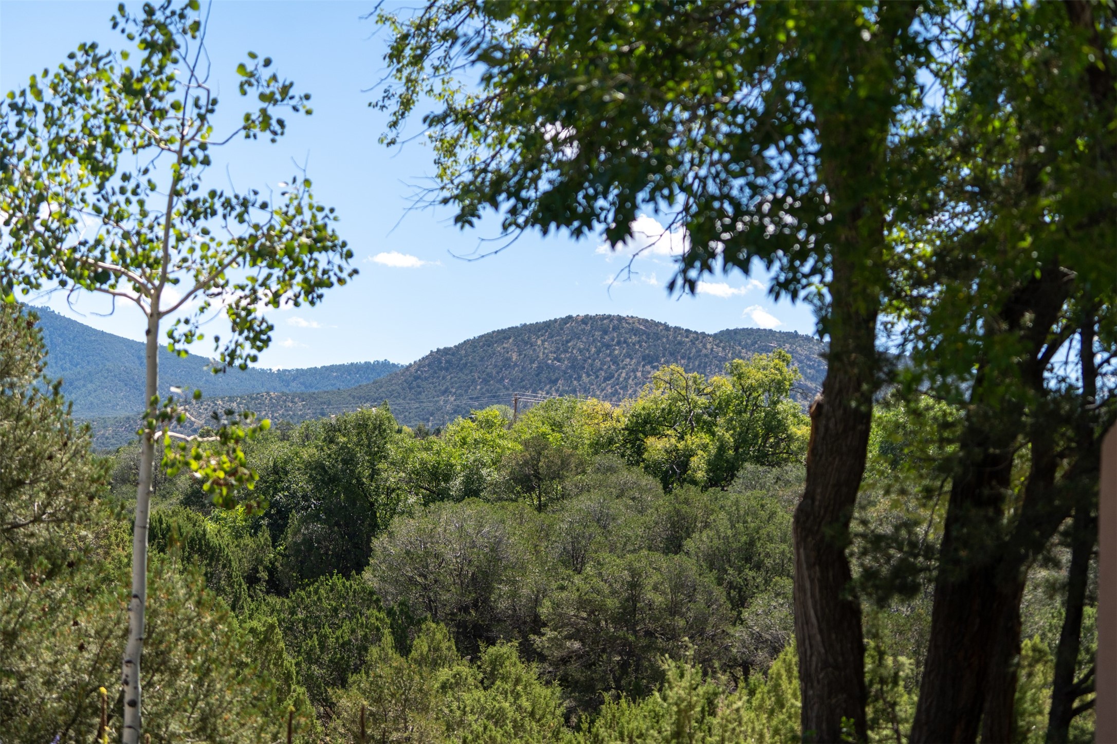 1314 Madrid Road Santa Fe, NM 87505 - Photo 52 of 74