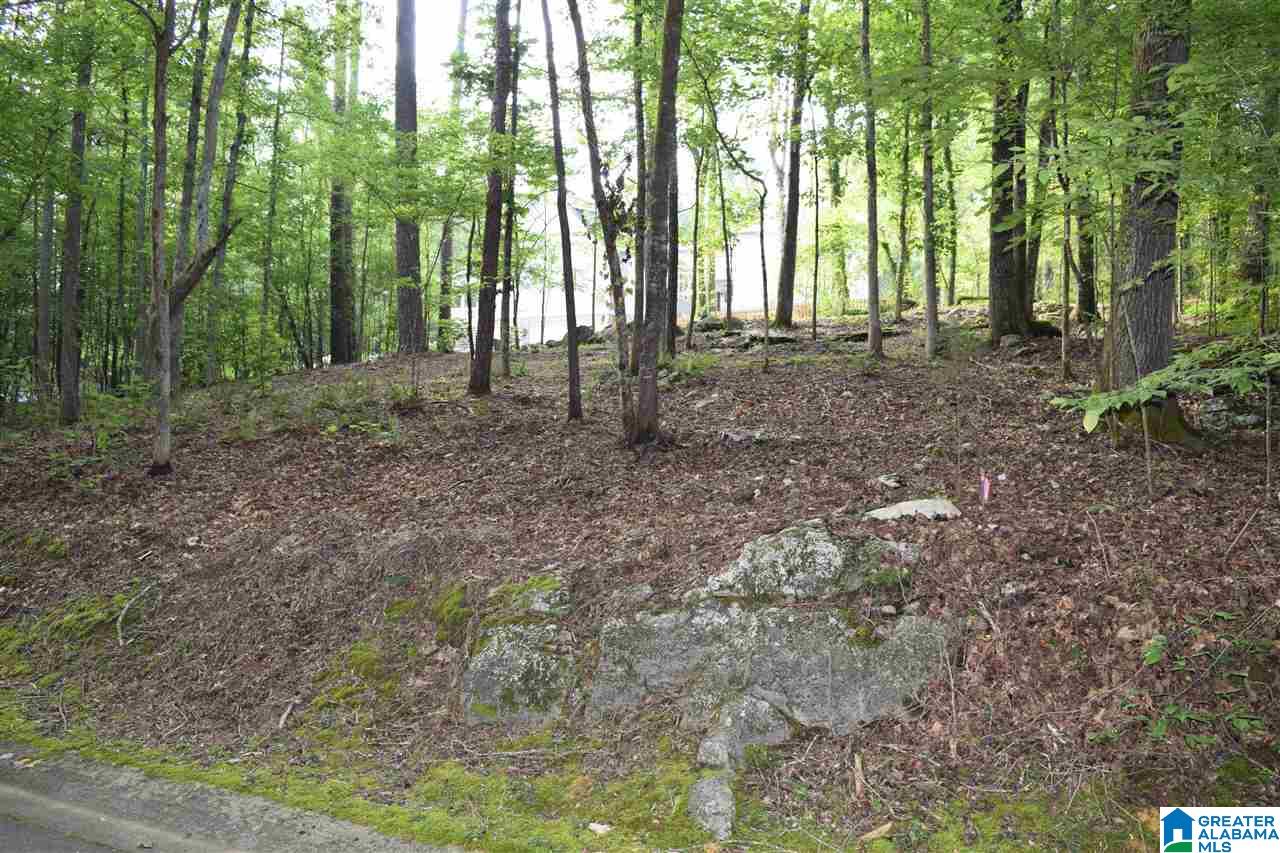 Lot 10 South Hollow Road, Unit 10 Hayden, AL 35079 - Photo 4 of 17