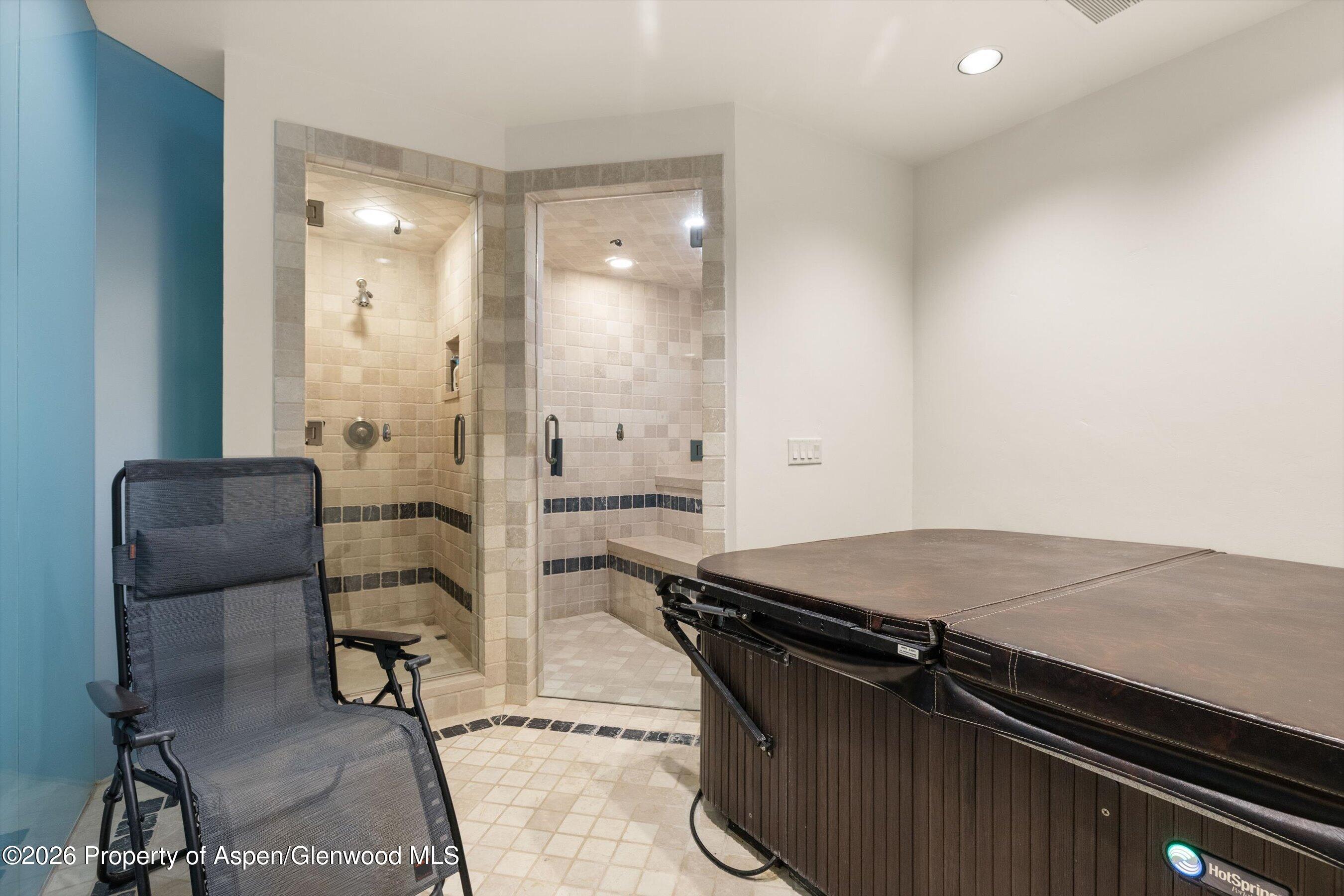 1682 Red Mountain Road Aspen, CO 81612 - Photo 33 of 42 Spa with Shower, Steam Room and Hot Tub