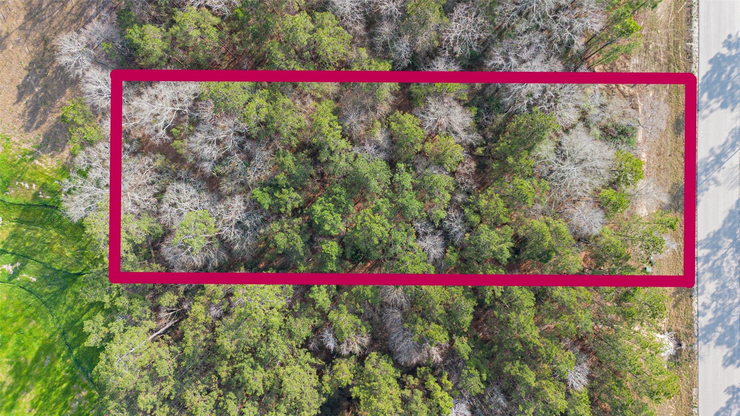 340 Exploration Road Willis, TX 77378 - Photo 6 of 12