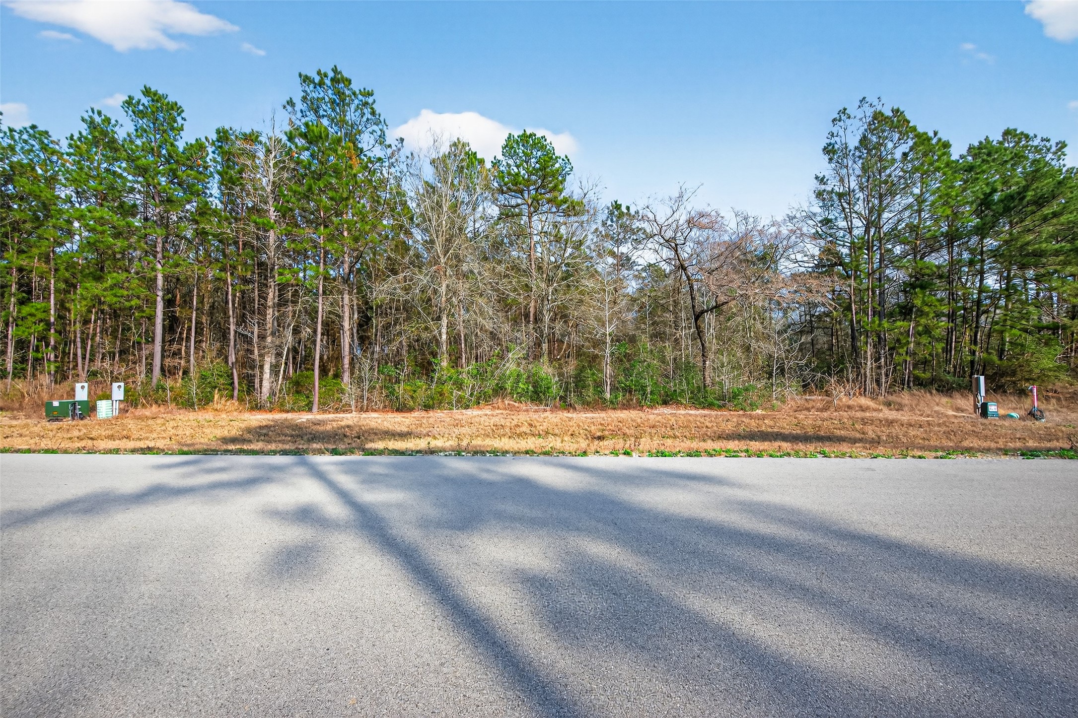 340 Exploration Road Willis, TX 77378 - Photo 10 of 12 a view of a house with a large trees