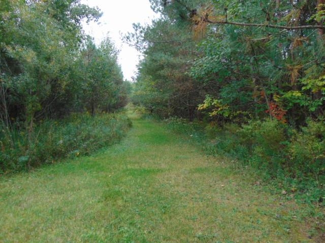 4575 South Magruder Road Breckenridge, MI 48615 - Photo 7 of 57 Gallery Image 7