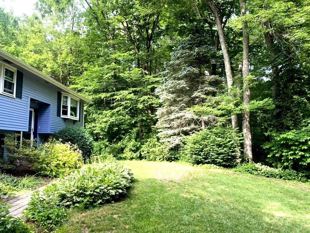10 Warwick Road Walpole, MA 02071 - Photo 6 of 28