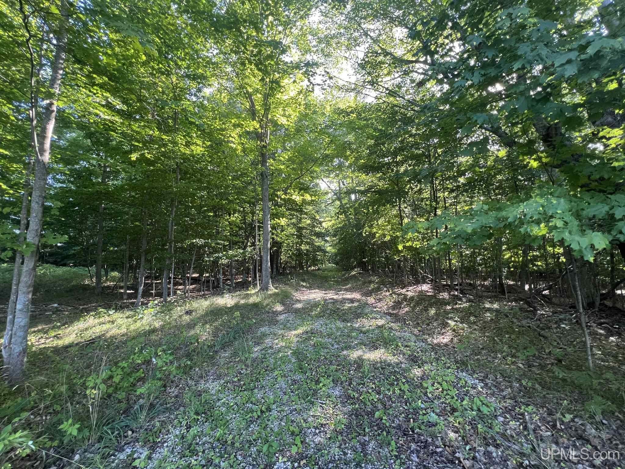 Tbd II Road Garden, MI 49835 - Photo 23 of 42