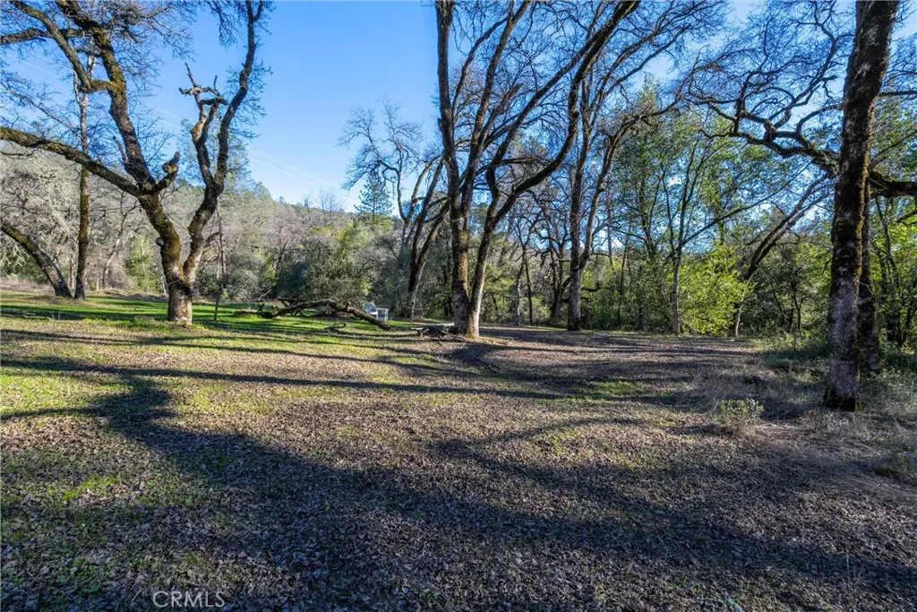 0 Crown Point Road Magalia, CA 95954 - Photo 24 of 39 a view of a park