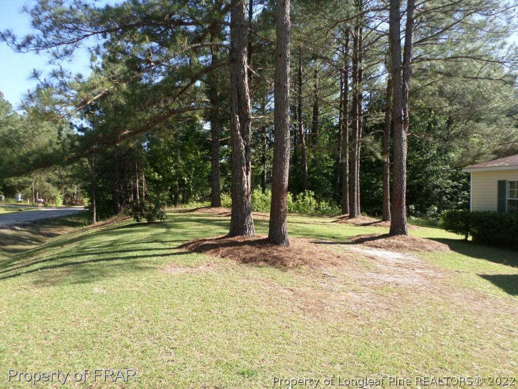 552 Lakerun Drive Bunnlevel, NC 28323 - Photo 4 of 31 a view of a trees in front of a house