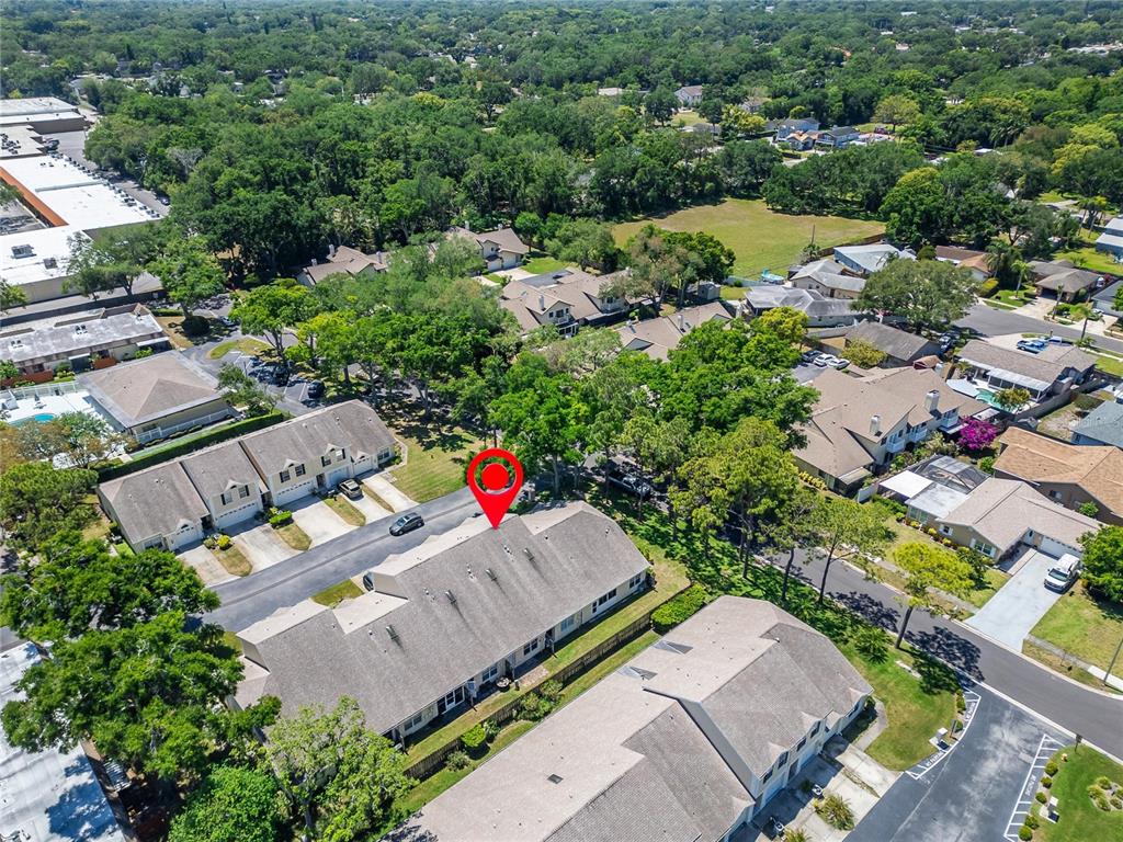 658 Green Valley Road, Unit B3 Palm Harbor, FL 34683 - Photo 73 of 80
