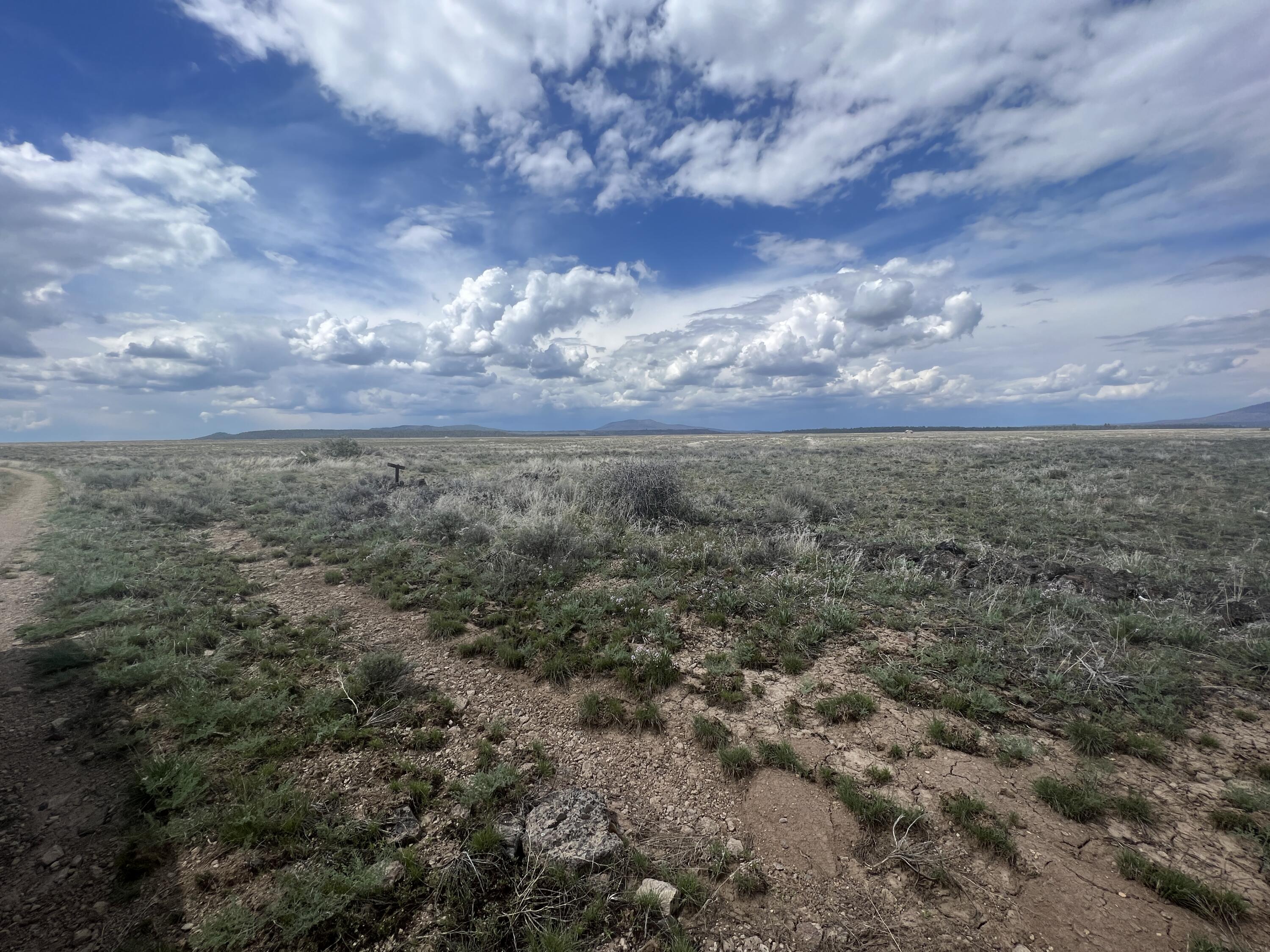 Lot 16 Rim Drive Chiloquin, OR 97624 - Photo 2 of 11 IMG_4993
