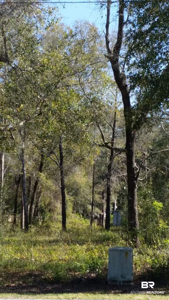 0 East Canal Road Orange Beach, AL 36561 - Photo 1 of 1