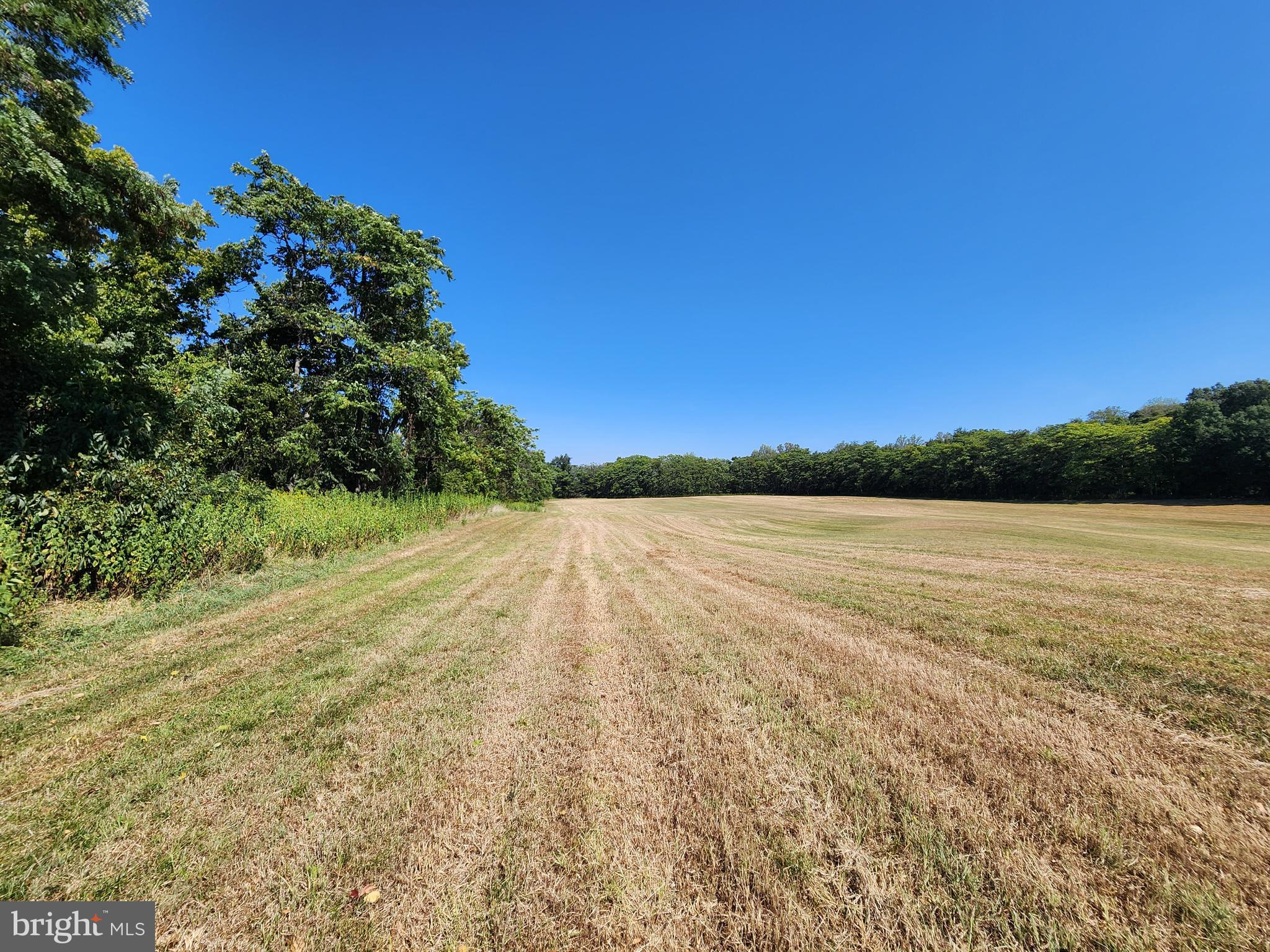 22805 Whites Ferry Road Dickerson, MD 20842 - Photo 12 of 15 Extensively Cleared and Actively Farmed