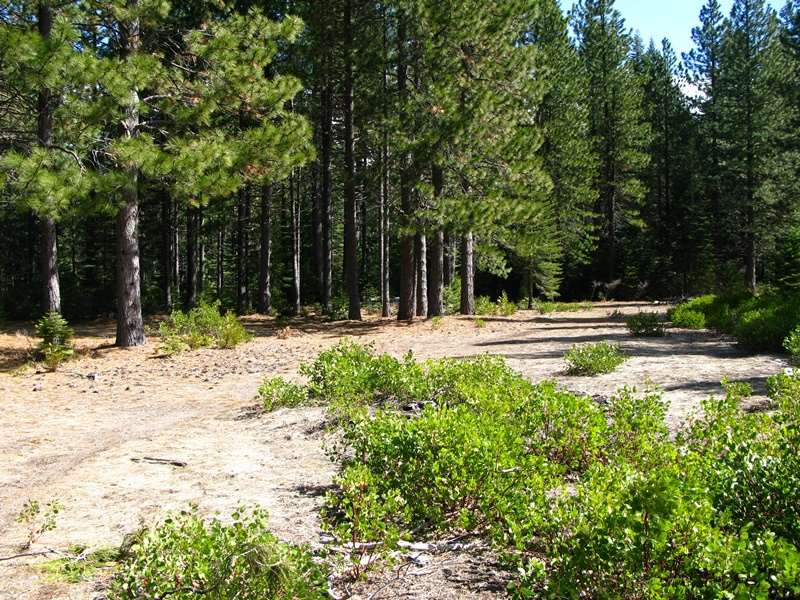 0 Davis Place Road Mount Shasta, CA 96067 - Photo 6 of 16 Gallery Image 6