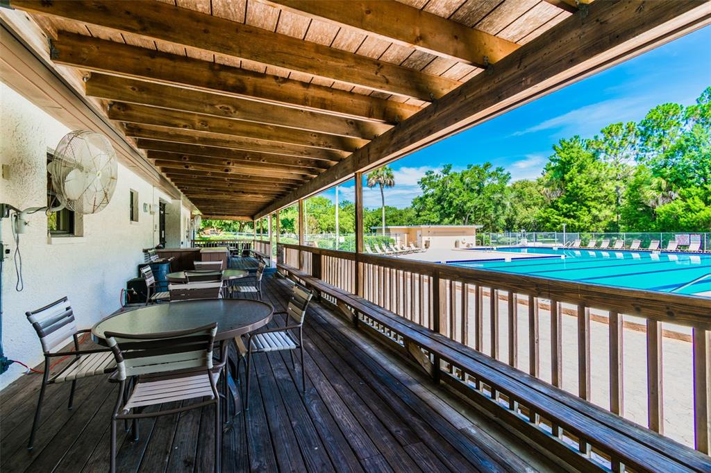 515 Sandy Hook Road Palm Harbor, FL 34683 - Photo 77 of 83 Gallery Image 77