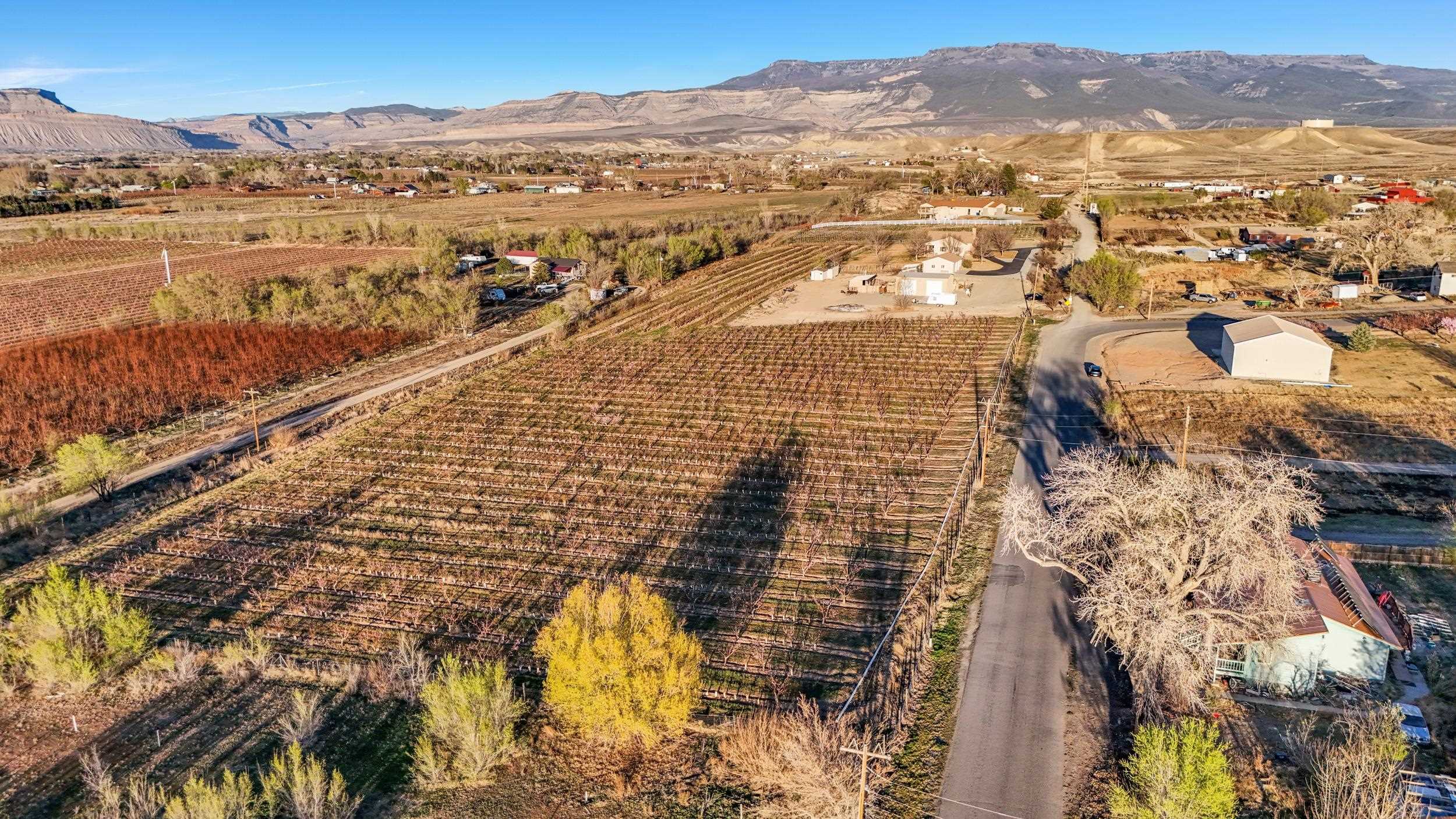 3280 B B 1/2 Road Grand Junction, CO 81503 - Photo 38 of 40