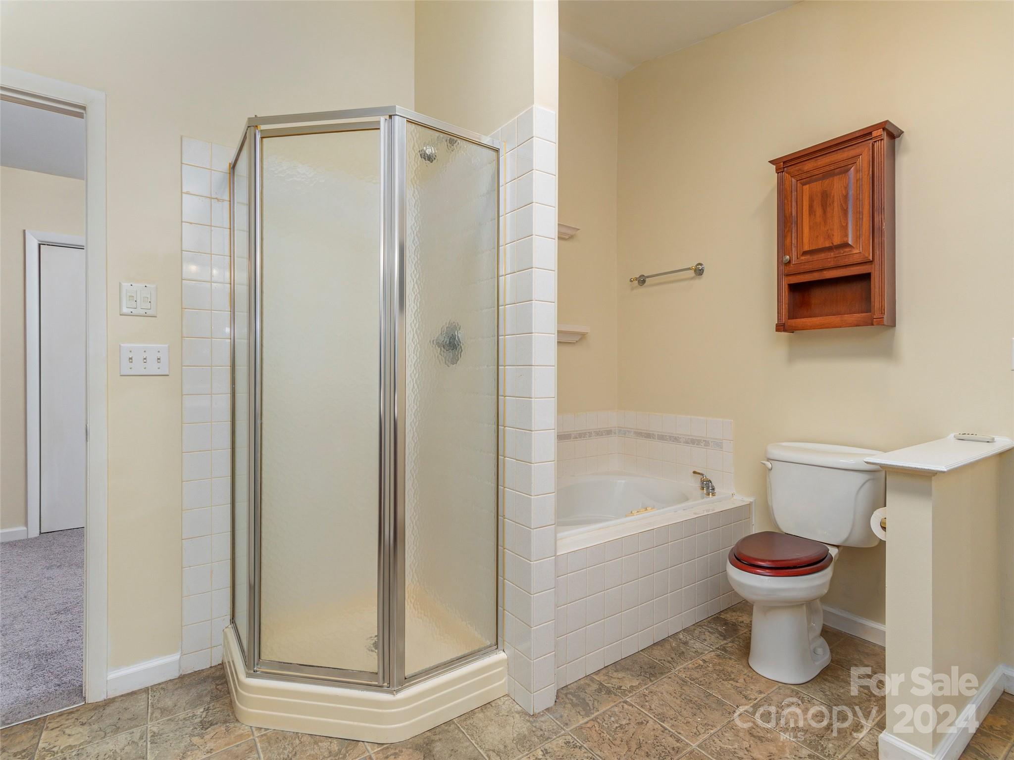 40 Wagon Road Asheville, NC 28805 - Photo 17 of 29 a bathroom with a toilet and a shower