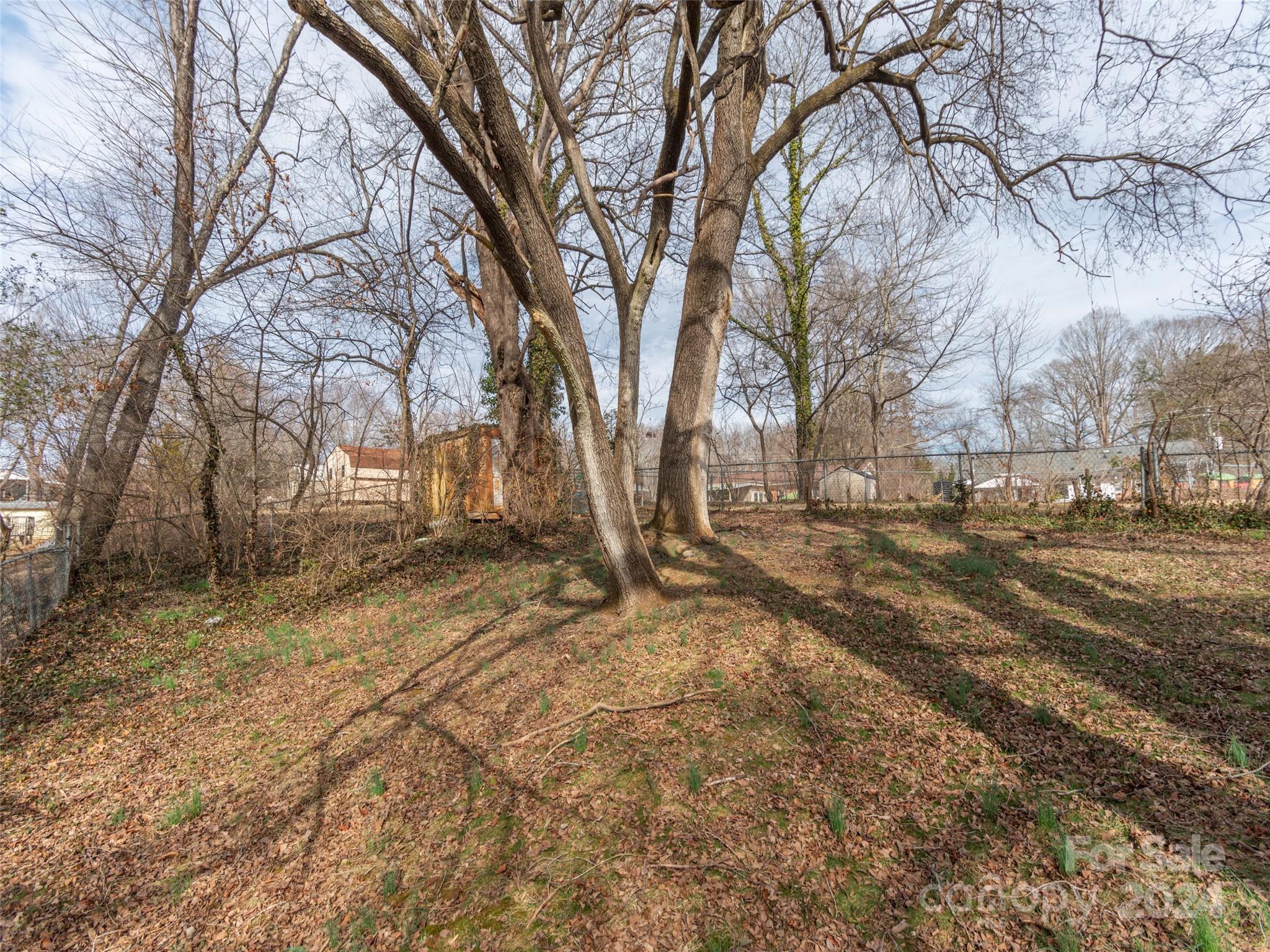 40 Wagon Road Asheville, NC 28805 - Photo 25 of 29 a view of snow on the roadside