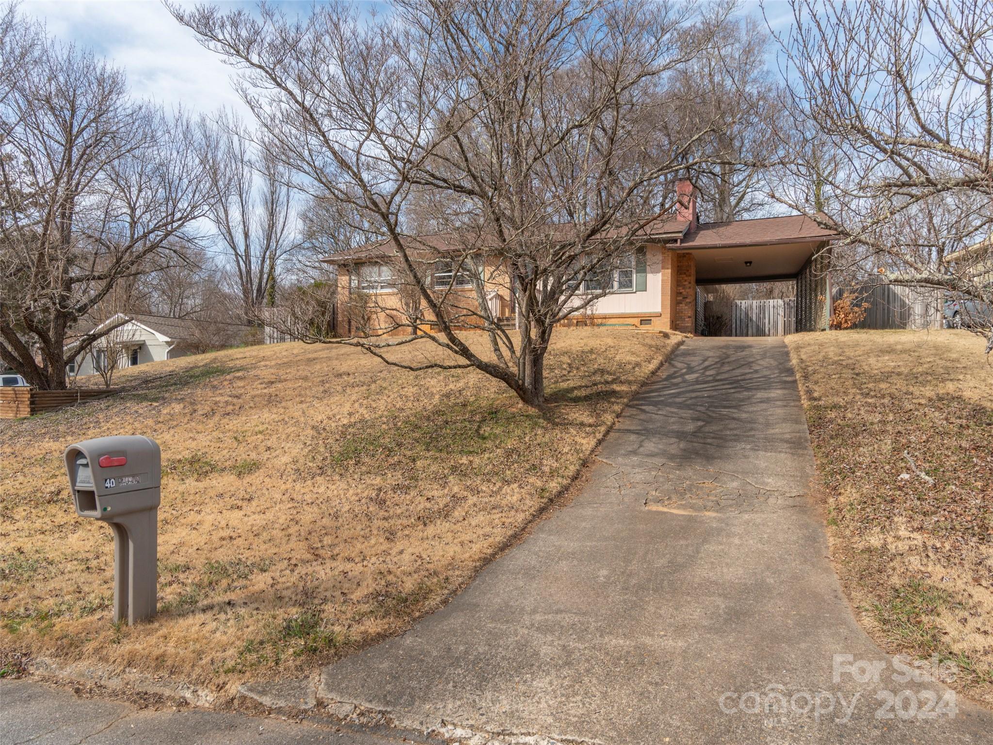 40 Wagon Road Asheville, NC 28805 - Photo 29 of 29 a front view of a house with trees
