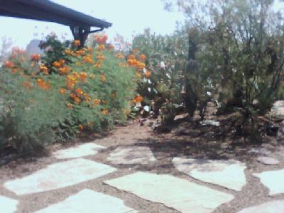 11475 West Picture Rocks Road Tucson, AZ 85743 - Photo 3 of 7 Gallery Image 3