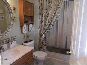 585 Gray Road Greeneville, TN 37743 - Photo 12 of 24 Master Bath in Master Bedroom
